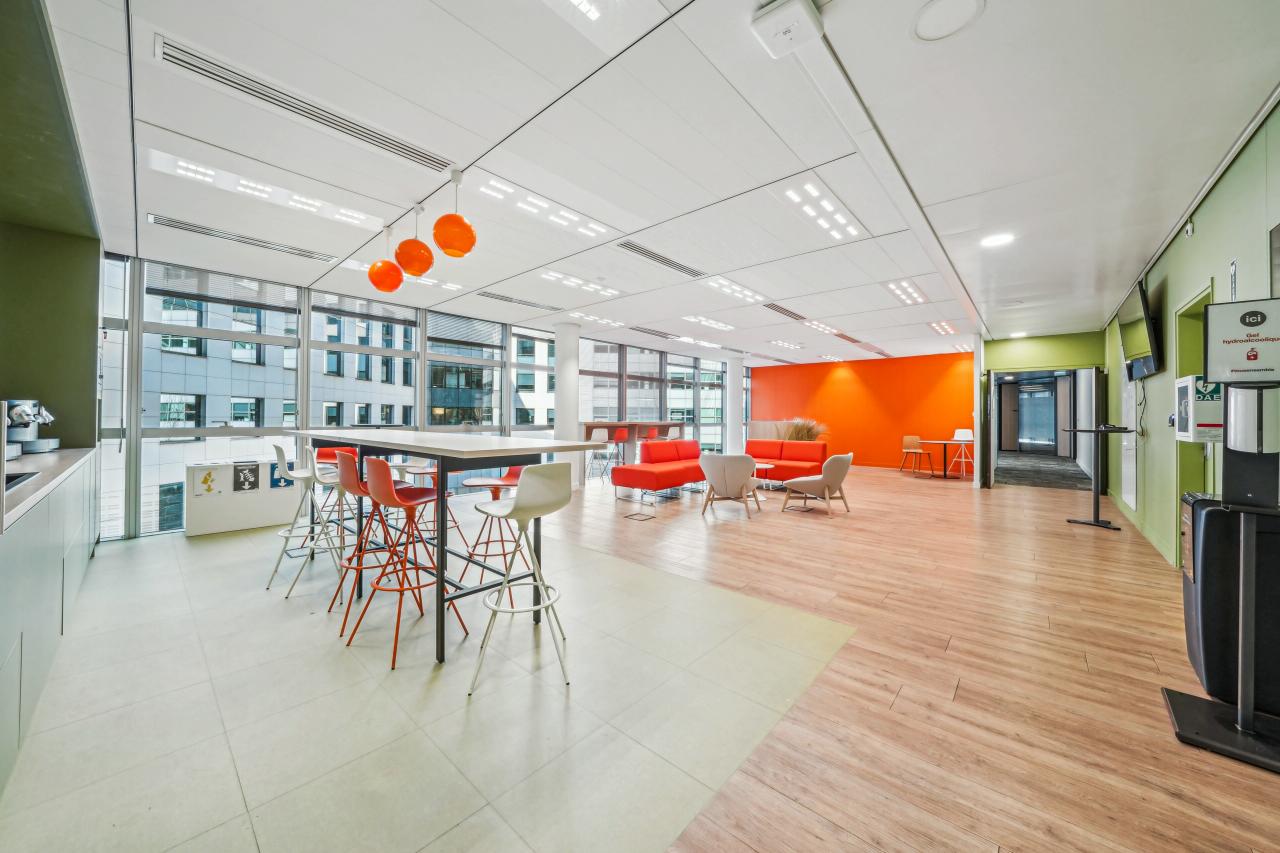 Bureau Issy-les-Moulineaux 1840m² Location bureau Issy-les-Moulineaux Hauts-de-Seine OLBUR2529272 7
